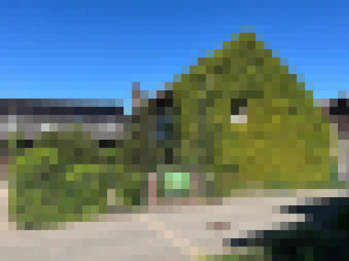Hopschet 16 Vijlen thumbnail 27