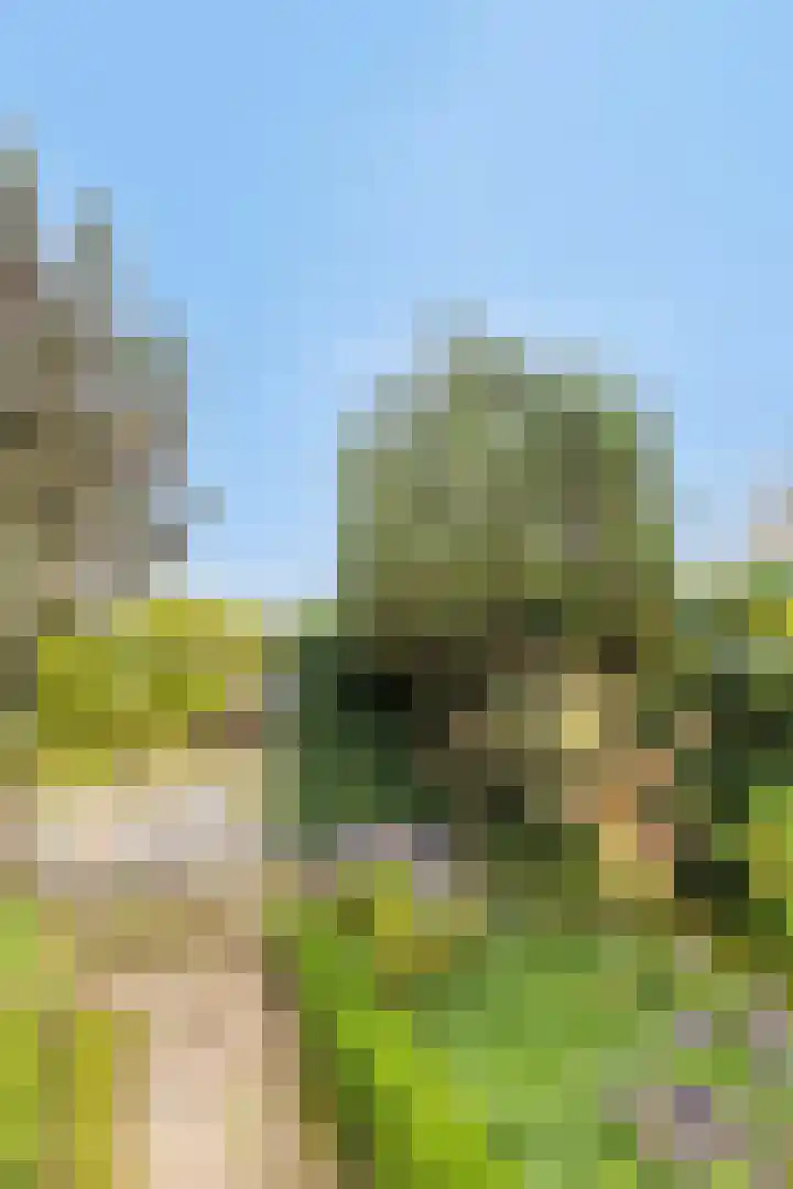 Hopschet 16 Vijlen thumbnail 28