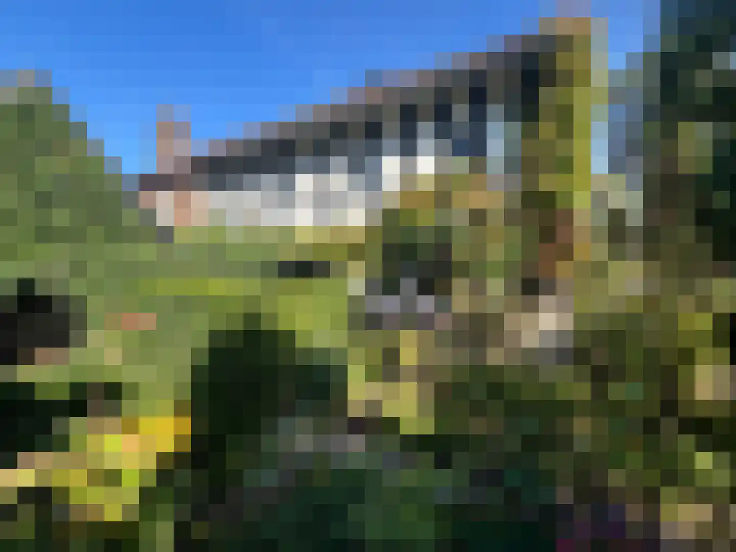 Hopschet 16 Vijlen thumbnail 28