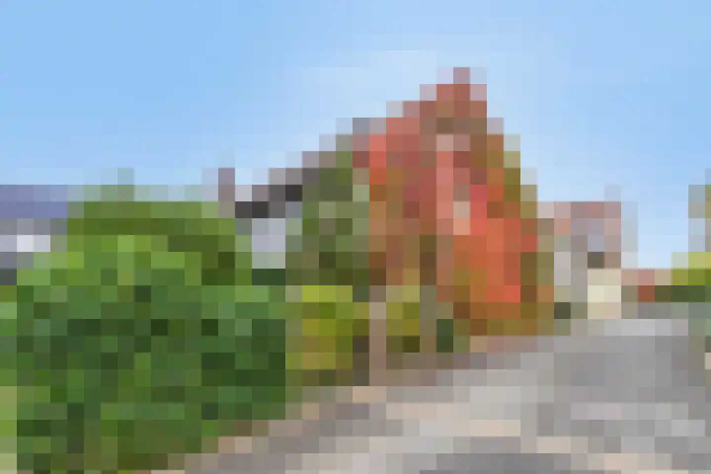Hopschet 16 Vijlen thumbnail 29