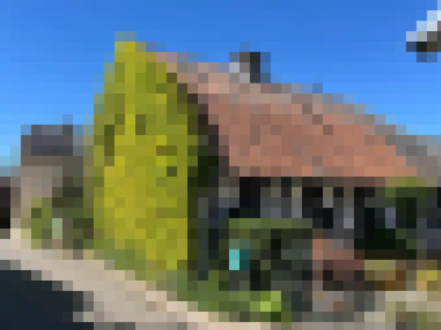 Hopschet 16 Vijlen thumbnail 29