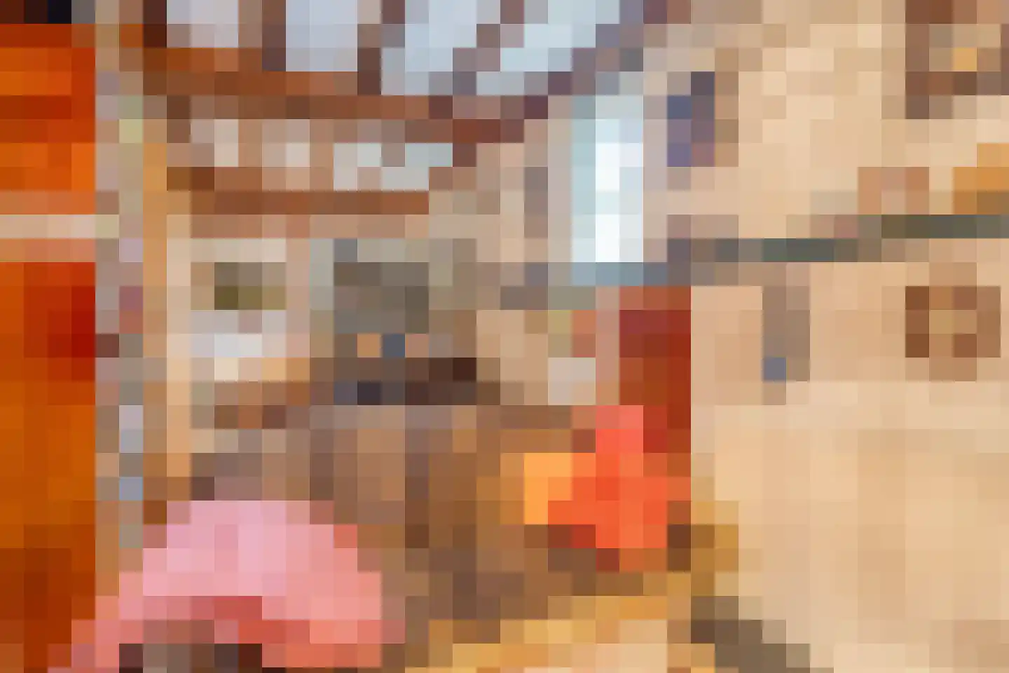 Hopschet 16 Vijlen thumbnail 5