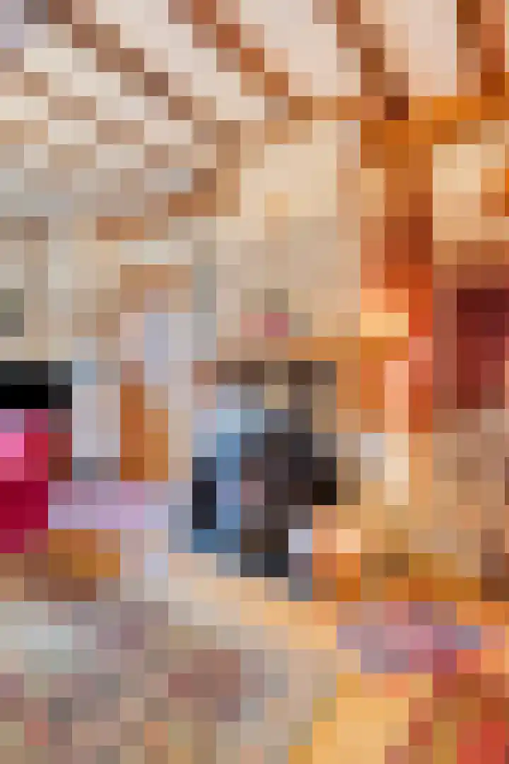 Hopschet 16 Vijlen thumbnail 6