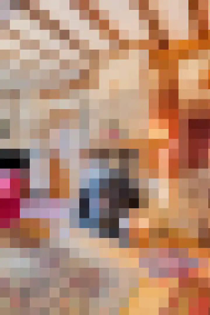 Hopschet 16 Vijlen thumbnail 6