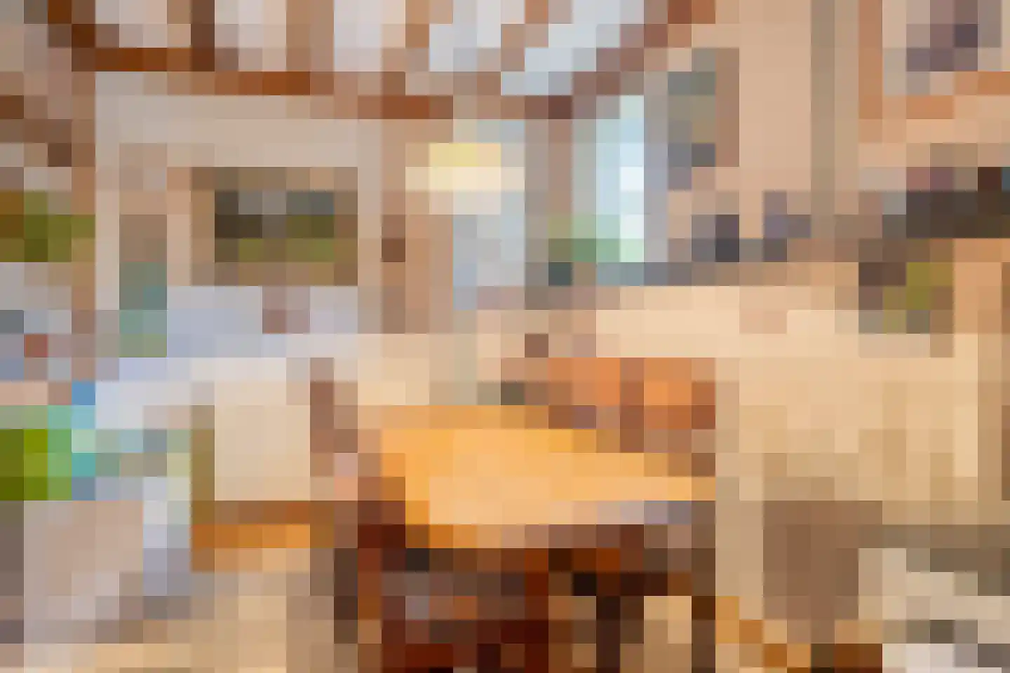 Hopschet 16 Vijlen thumbnail 8