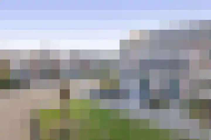 Hopstamper 2 Schijndel thumbnail 25