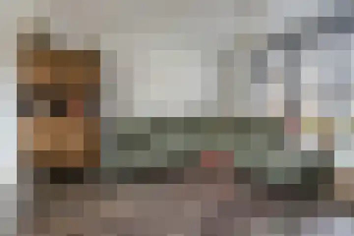 Hopstraat 15 Hedel thumbnail 11