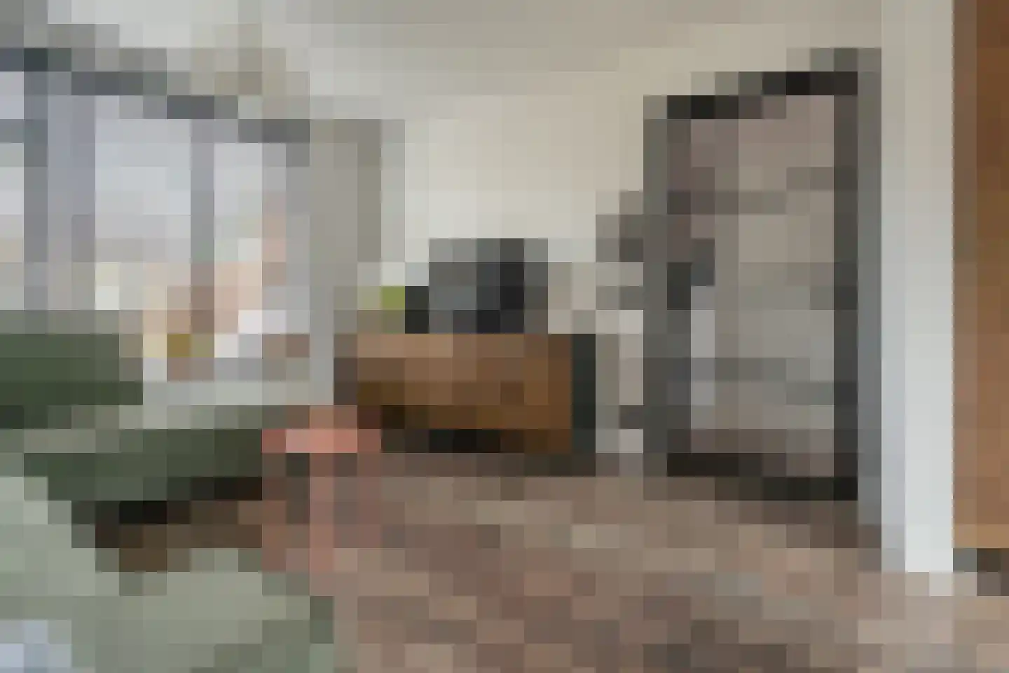 Hopstraat 15 Hedel thumbnail 13