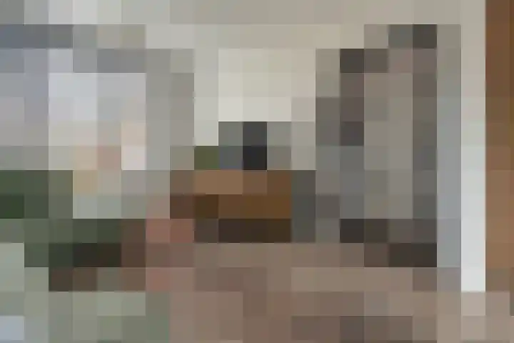 Hopstraat 15 Hedel thumbnail 13