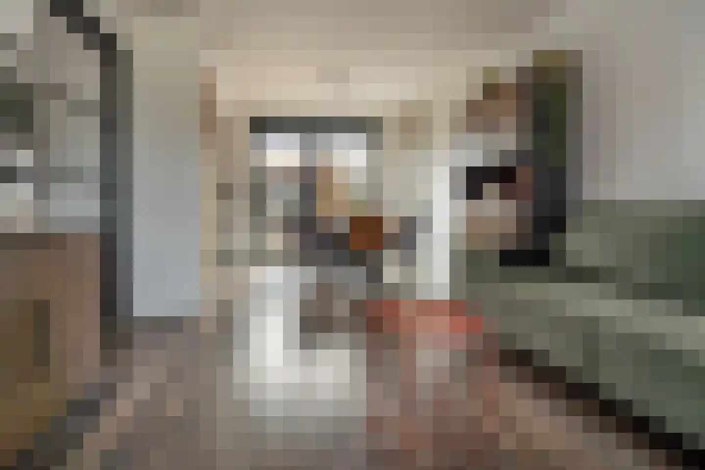 Hopstraat 15 Hedel thumbnail 15