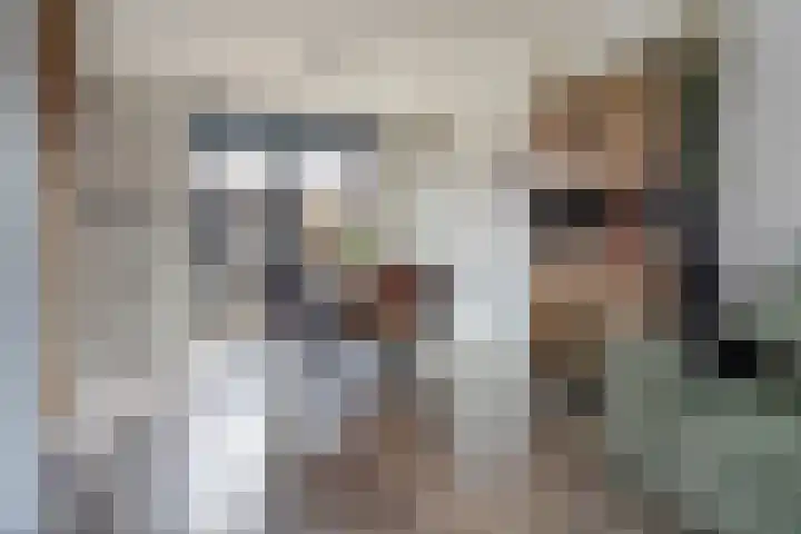 Hopstraat 15 Hedel thumbnail 16