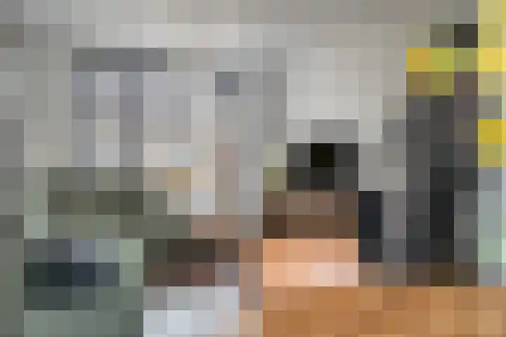 Hopstraat 15 Hedel thumbnail 18