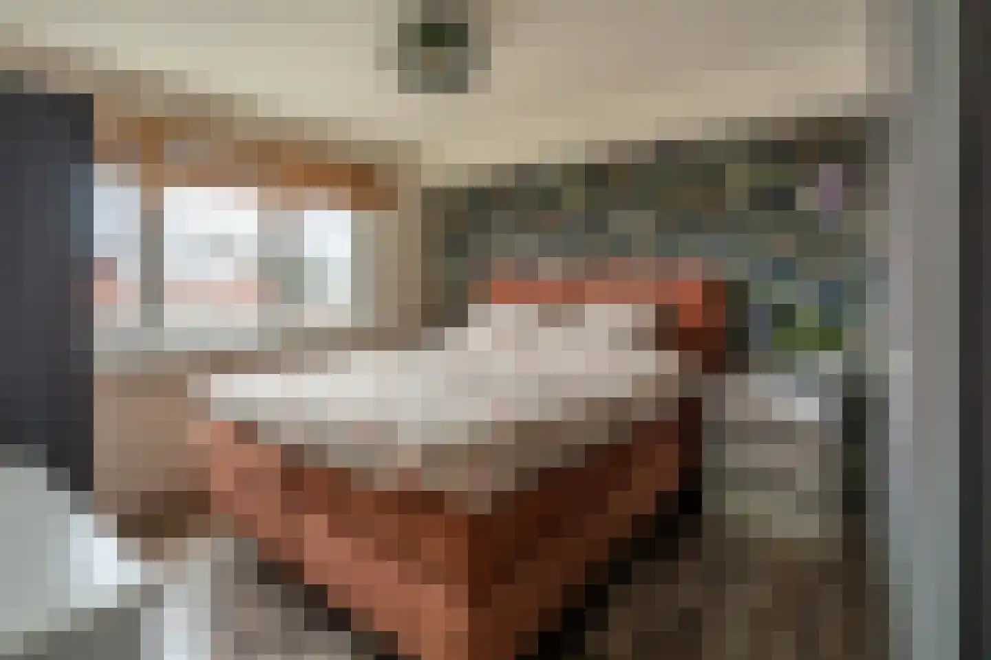 Hopstraat 15 Hedel thumbnail 25