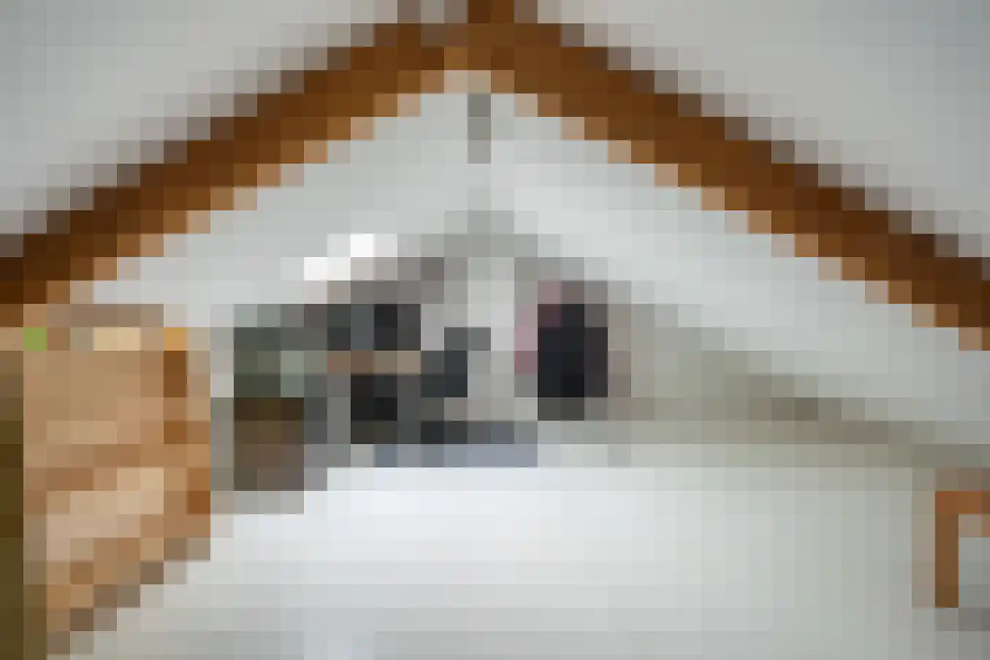 Hopstraat 15 Hedel thumbnail 35