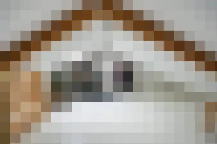 Hopstraat 15 Hedel thumbnail 35