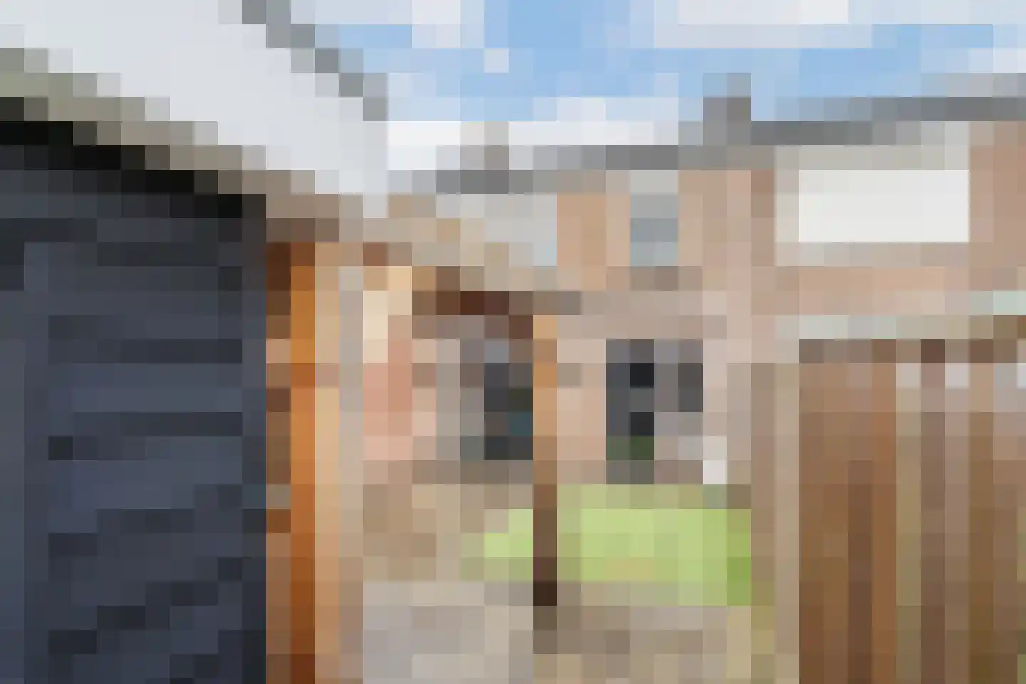 Hopstraat 15 Hedel thumbnail 5