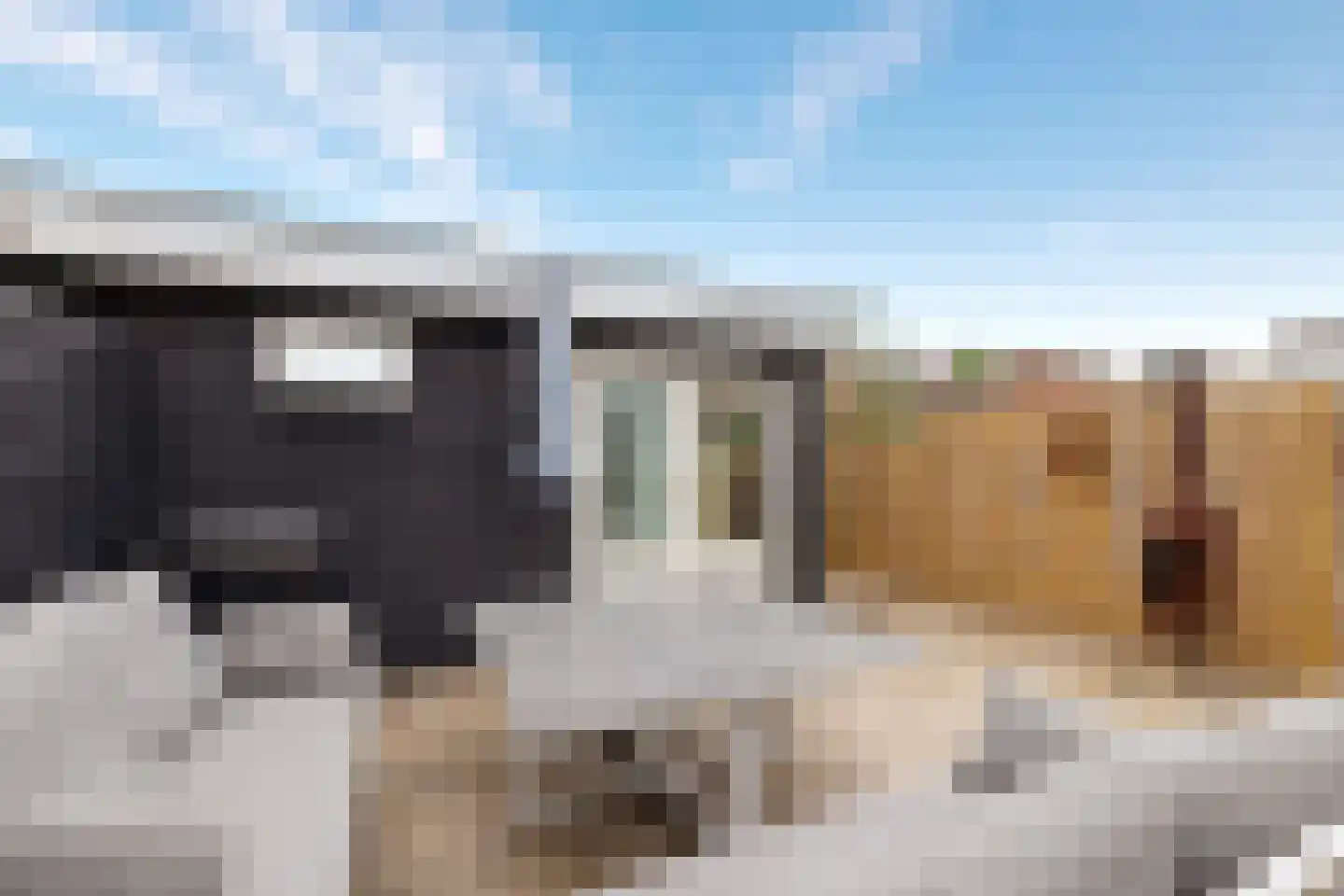 Hopstraat 17 Hedel thumbnail 25