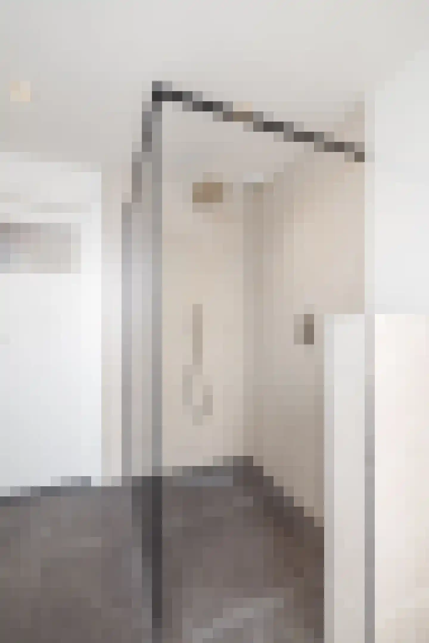 Hopstraat 17 Hedel thumbnail 39