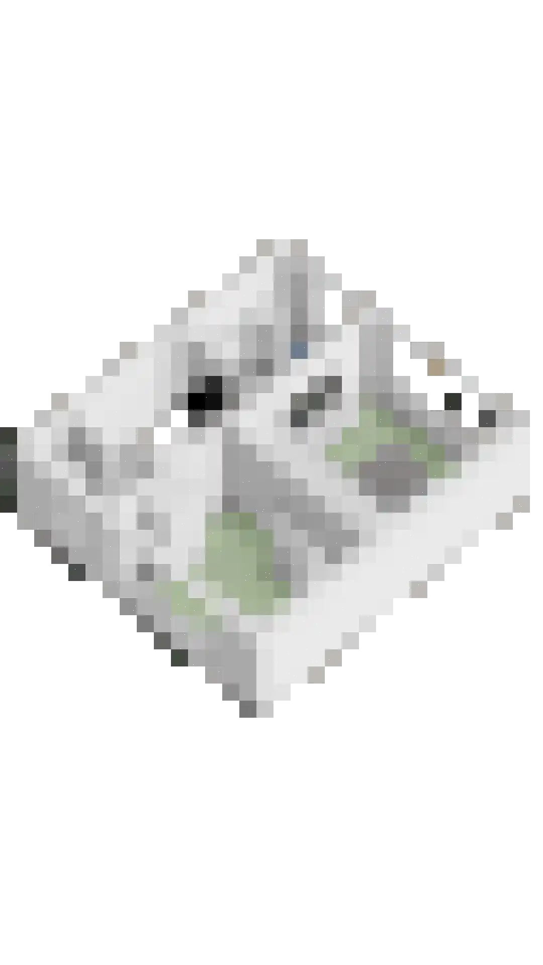 Hopstraat 17 Hedel thumbnail 49