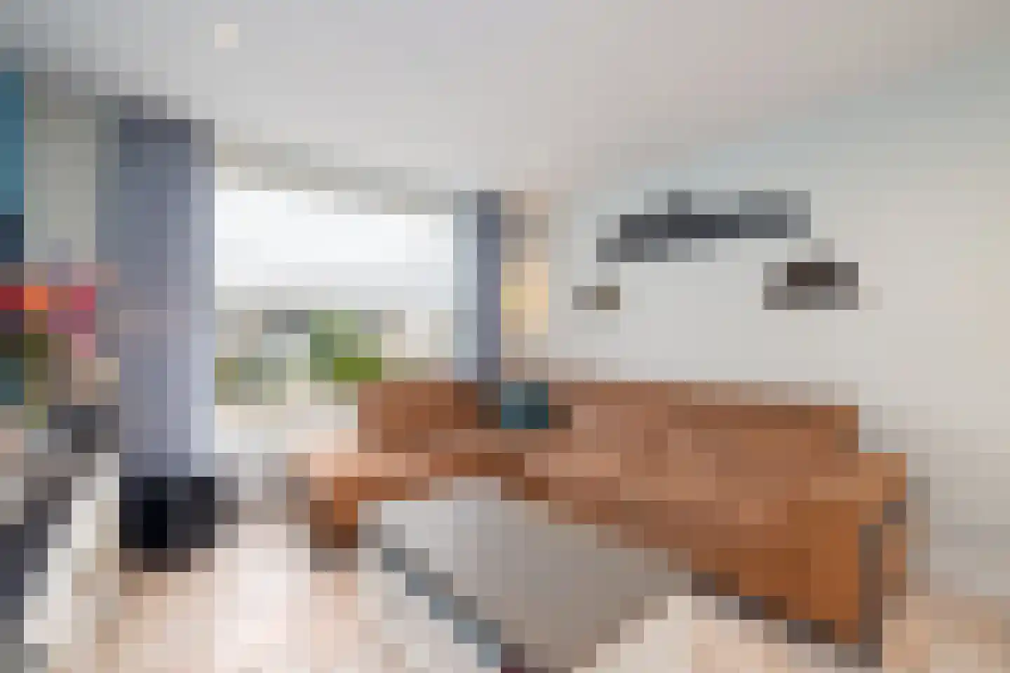 Hopstraat 17 Hedel thumbnail 8
