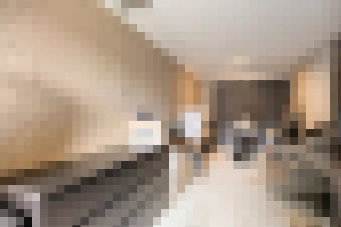 Hopstraat 20 Hedel thumbnail 10