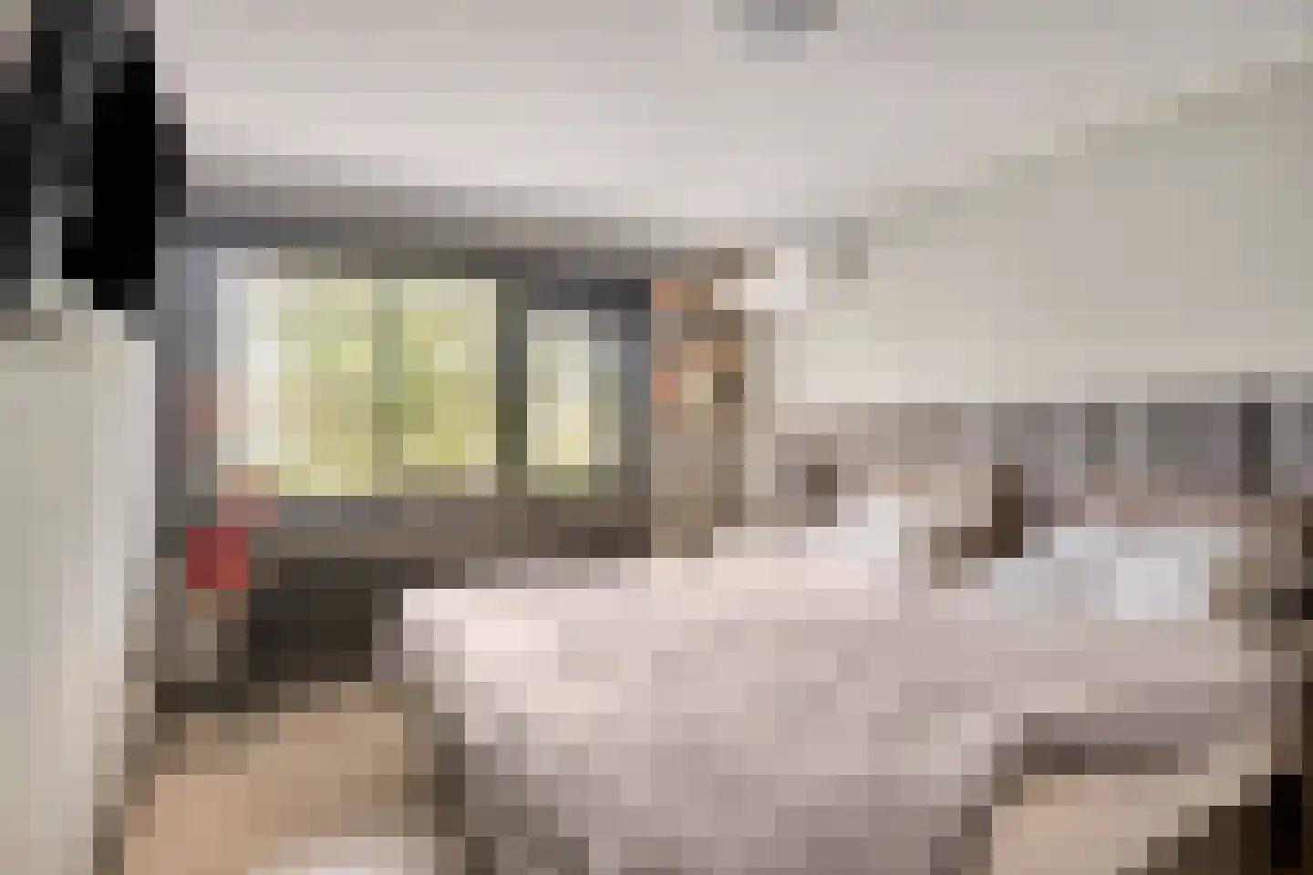 Hopstraat 20 Hedel thumbnail 12