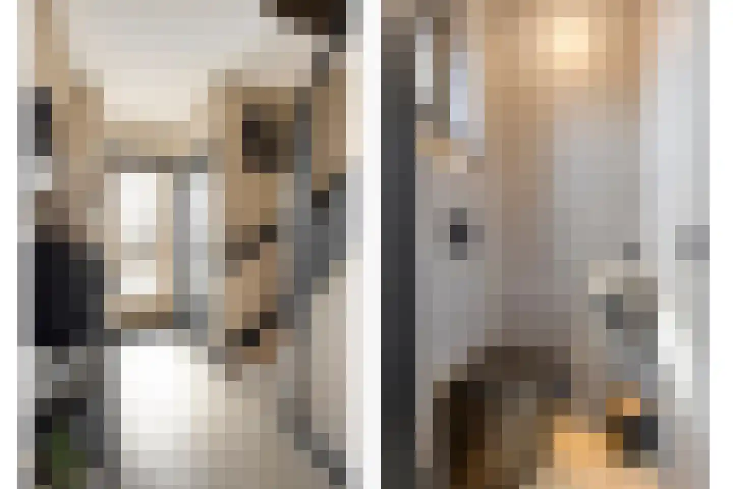 Hopstraat 20 Hedel thumbnail 4