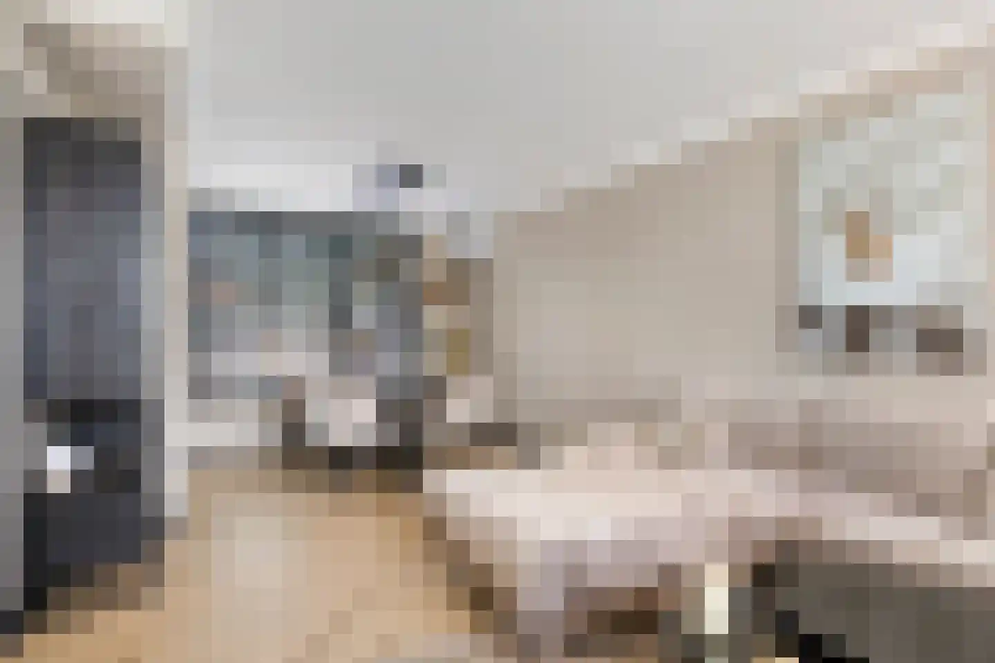 Hopstraat 20 Hedel thumbnail 6