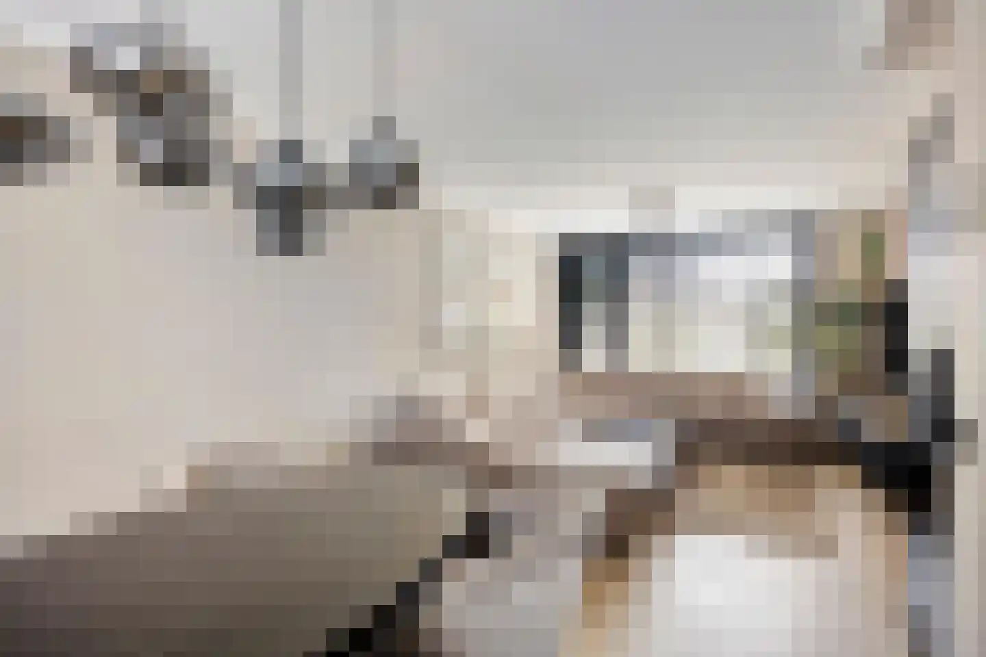 Hopstraat 20 Hedel thumbnail 7