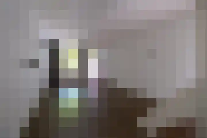 Hopstraat 27 Delft thumbnail 9