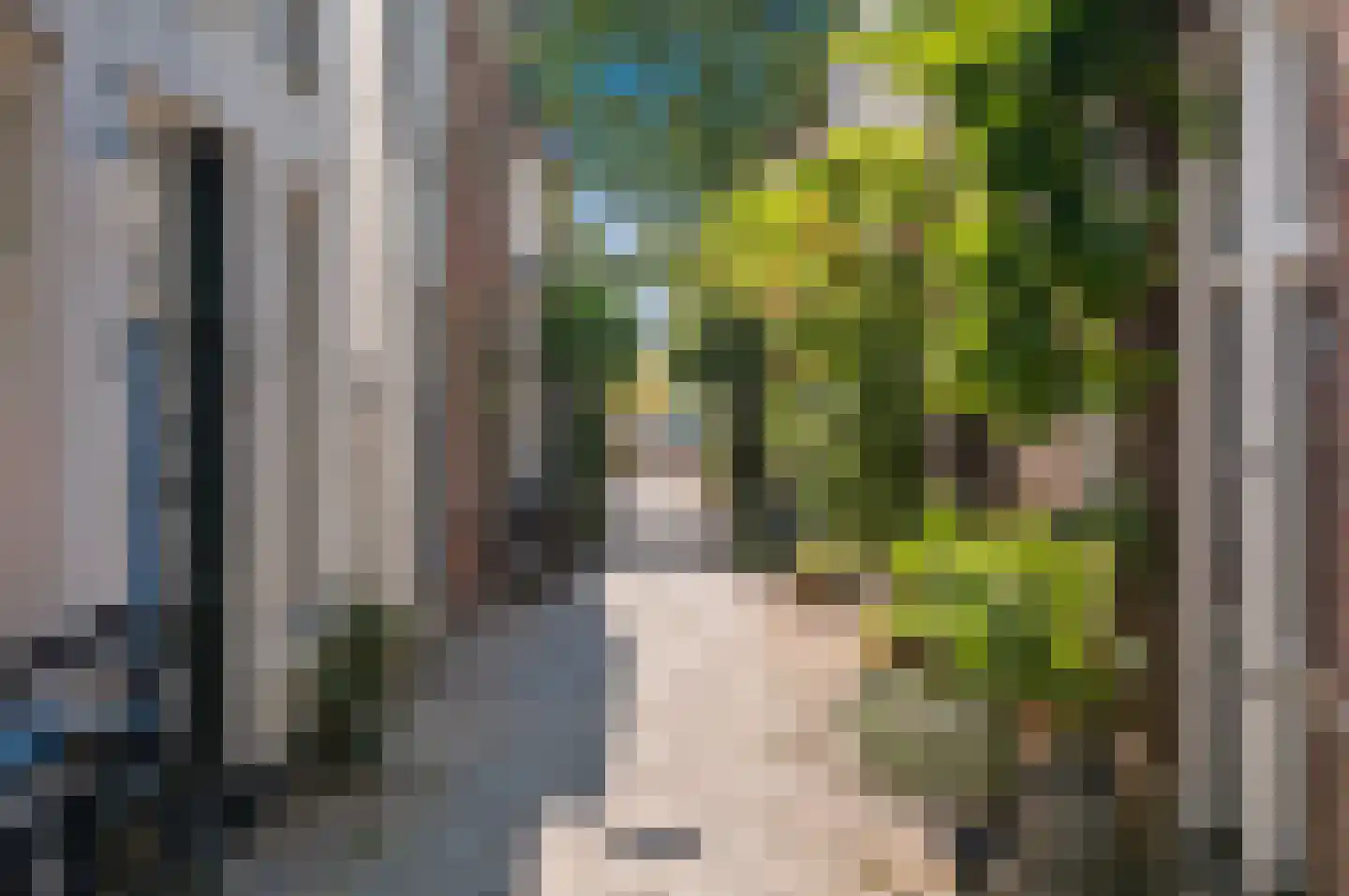 Hopstraat 36 Delft thumbnail 51