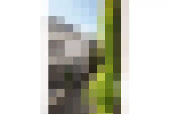 Hopstraat 54 Delft thumbnail 29