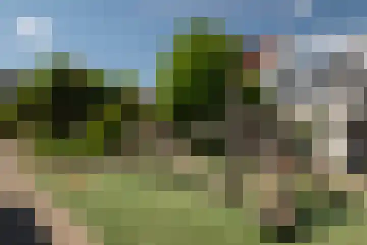 Hopstraat 54 Delft thumbnail 38