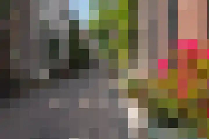 Hopstraat 54 Delft thumbnail 4