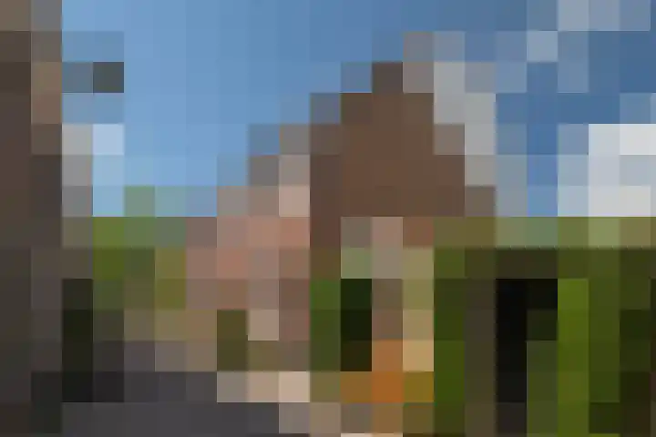 Hopstraat 54 Delft thumbnail 5