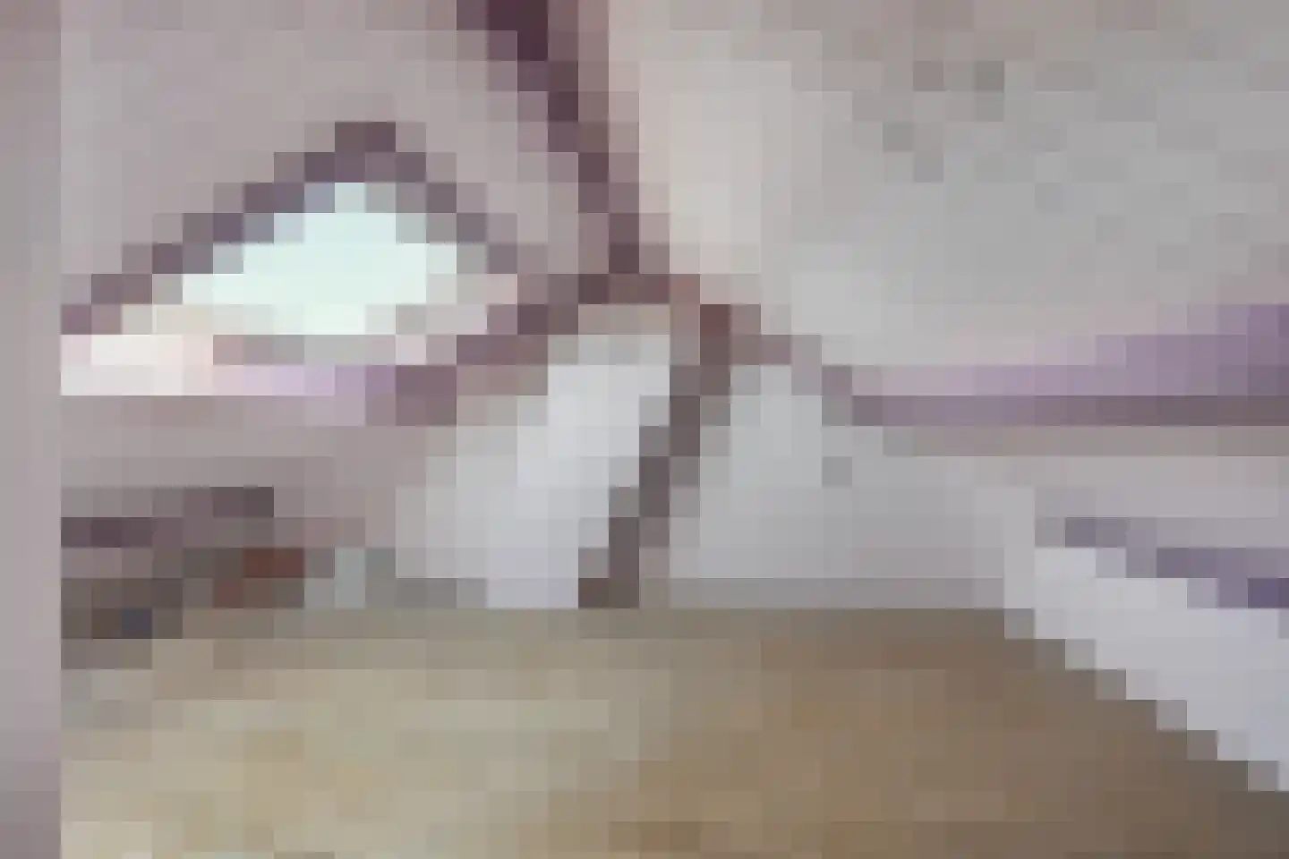 Hopstraat 9 Hedel thumbnail 20