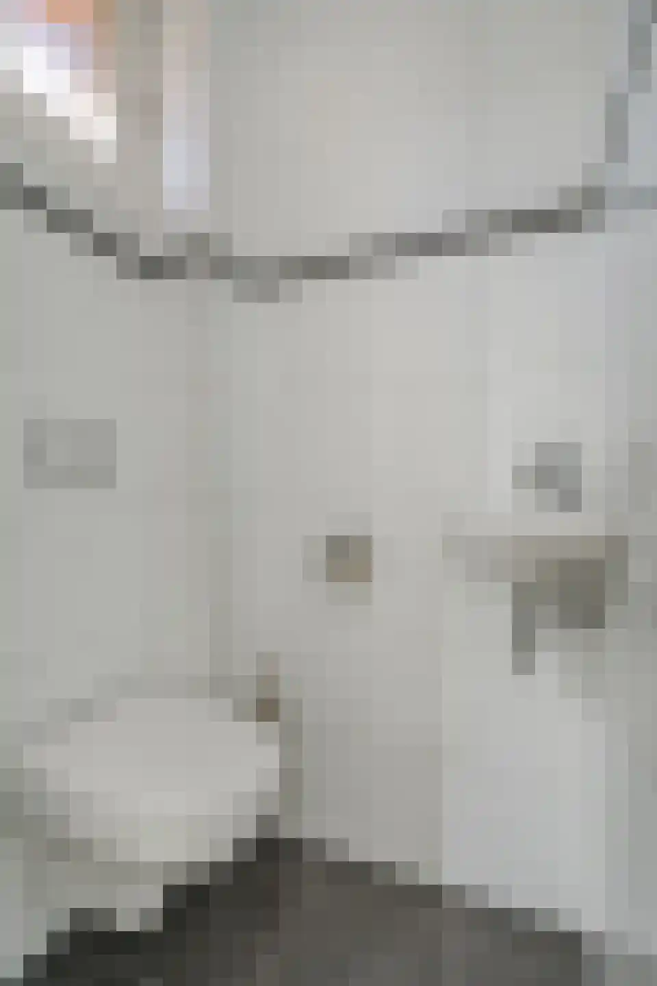 Hopstraat 9 Hedel thumbnail 7