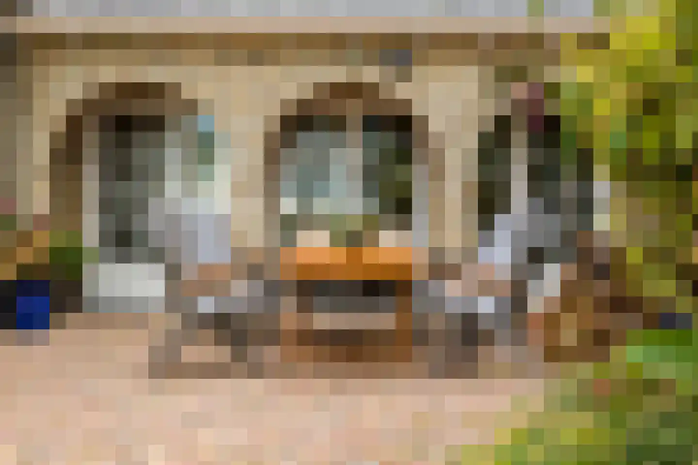 Hoptille 4 a Hilaard thumbnail 10