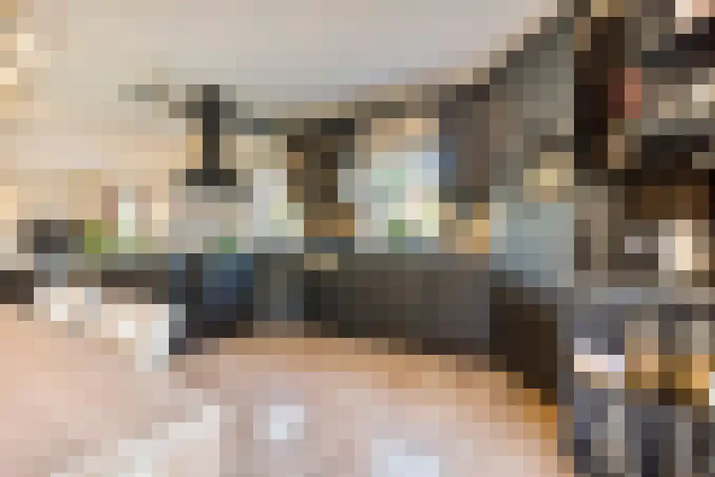 Hoptille 4 a Hilaard thumbnail 16