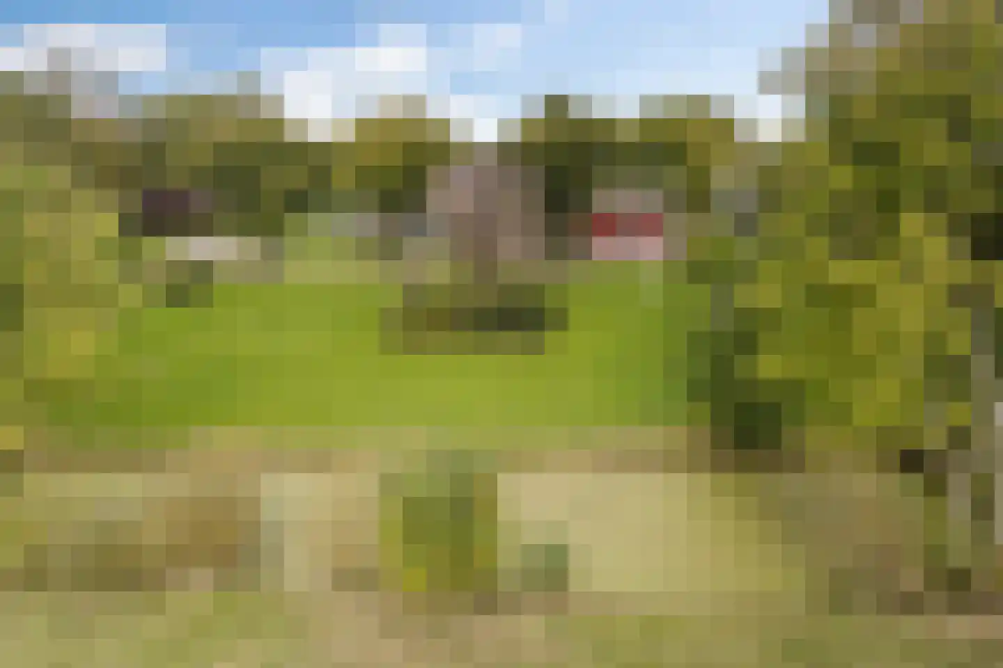 Hoptille 4 a Hilaard thumbnail 19