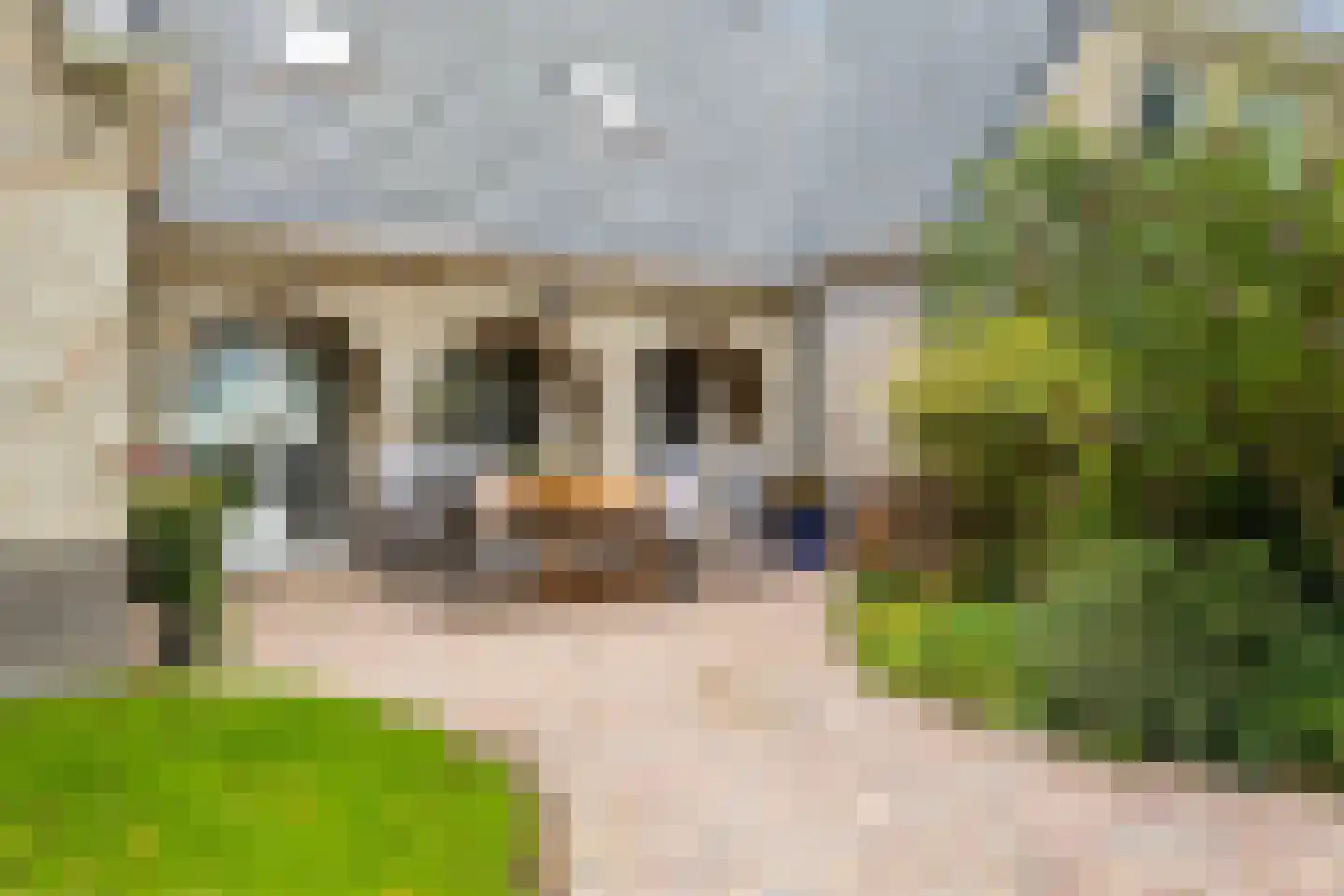 Hoptille 4 a Hilaard foto 3
