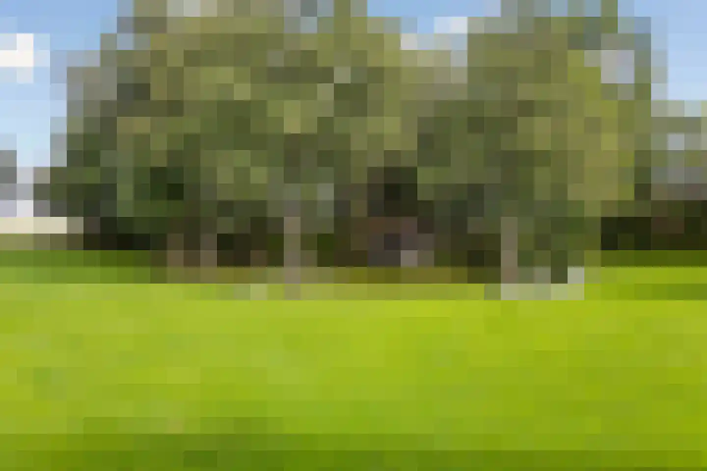 Hoptille 4 a Hilaard thumbnail 57
