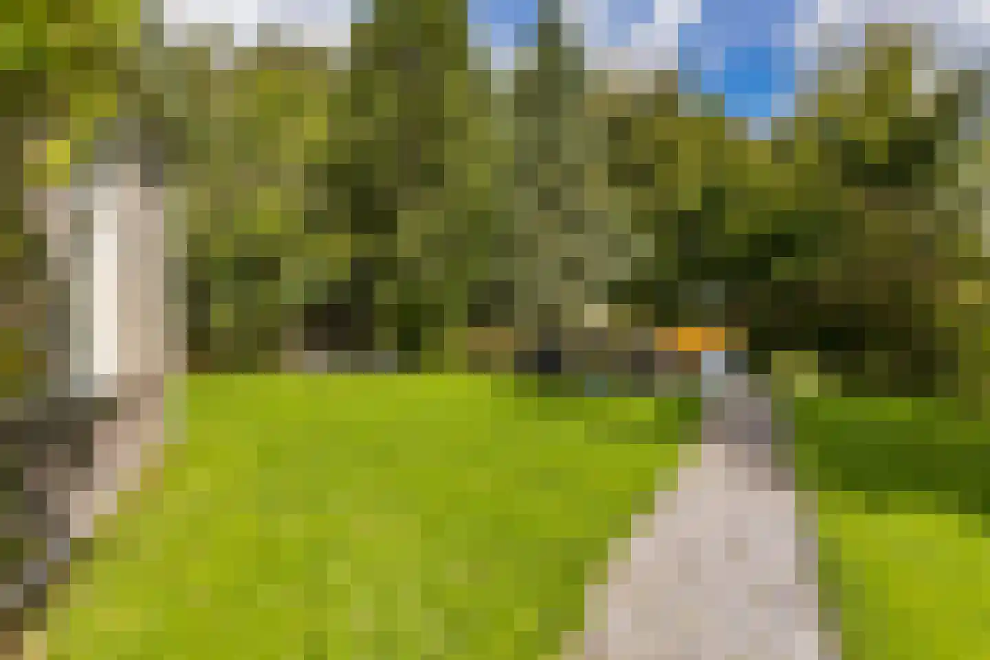 Hoptille 4 a Hilaard thumbnail 59