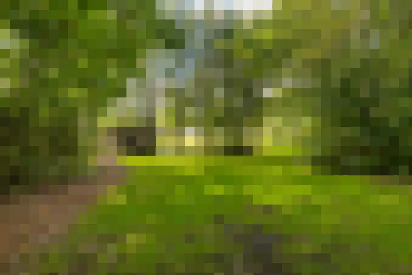 Hoptille 4 a Hilaard thumbnail 67