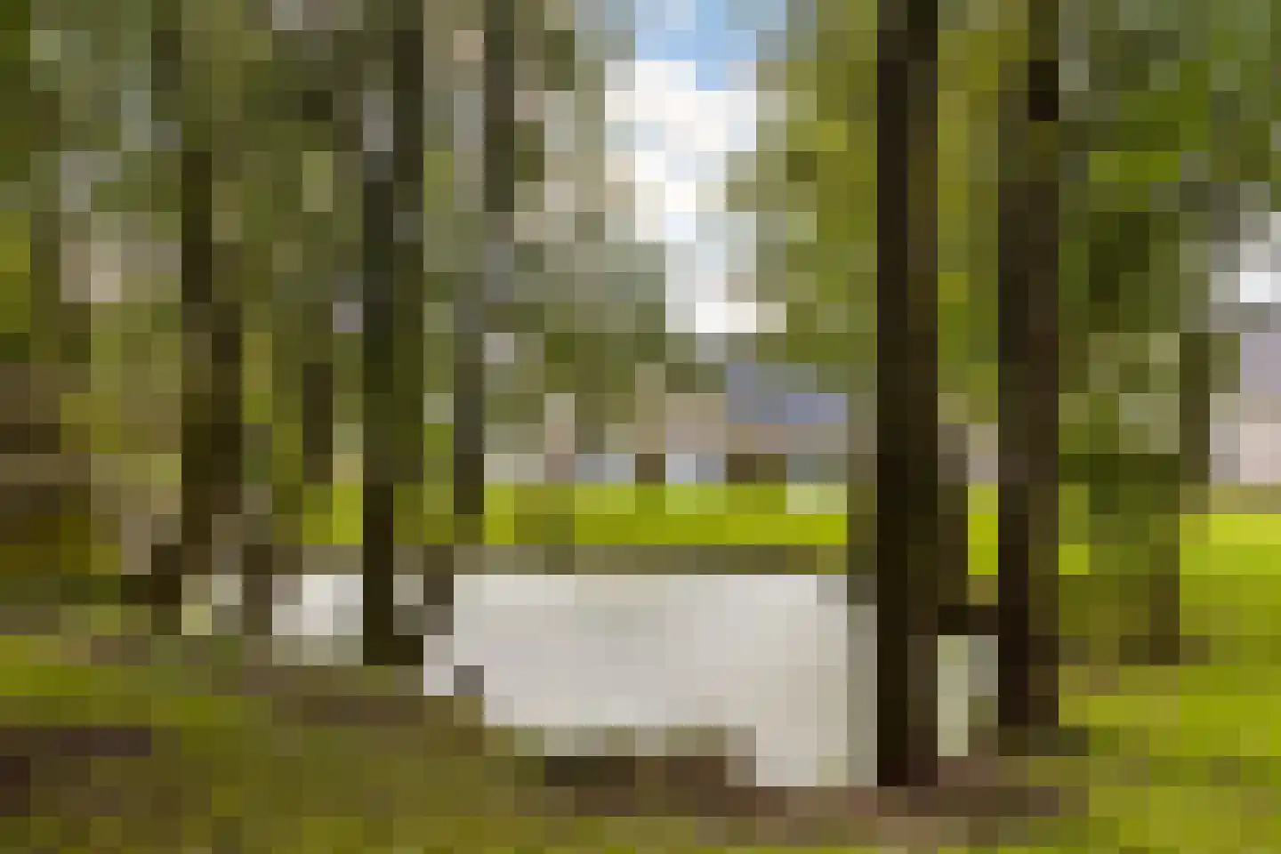 Hoptille 4 a Hilaard thumbnail 68