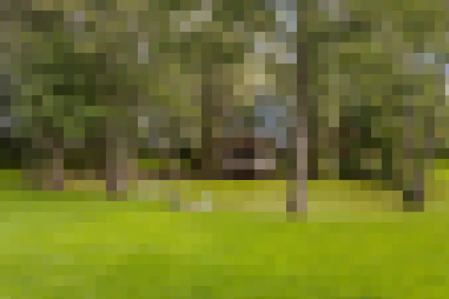 Hoptille 4 a Hilaard thumbnail 69