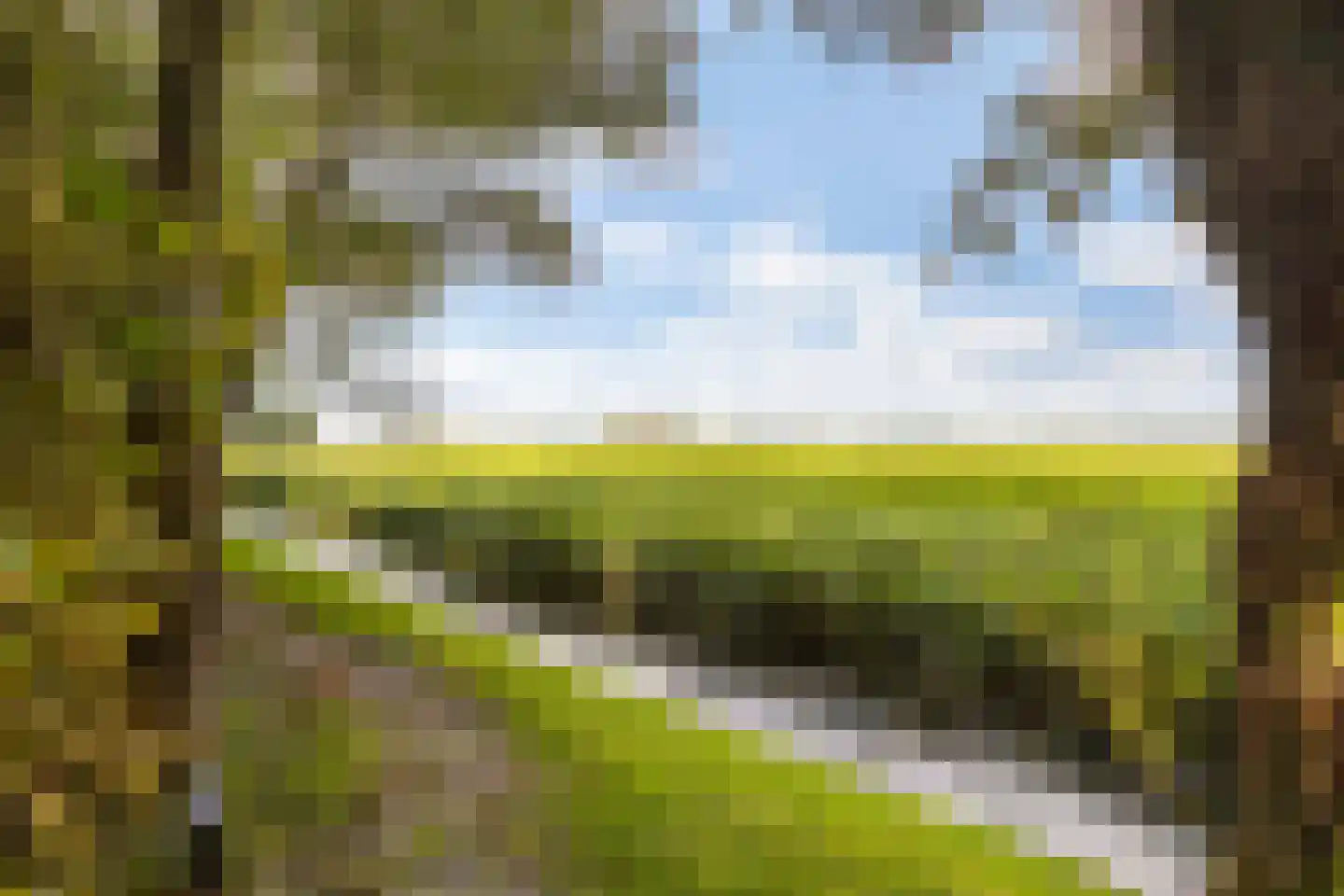 Hoptille 4 a Hilaard thumbnail 70