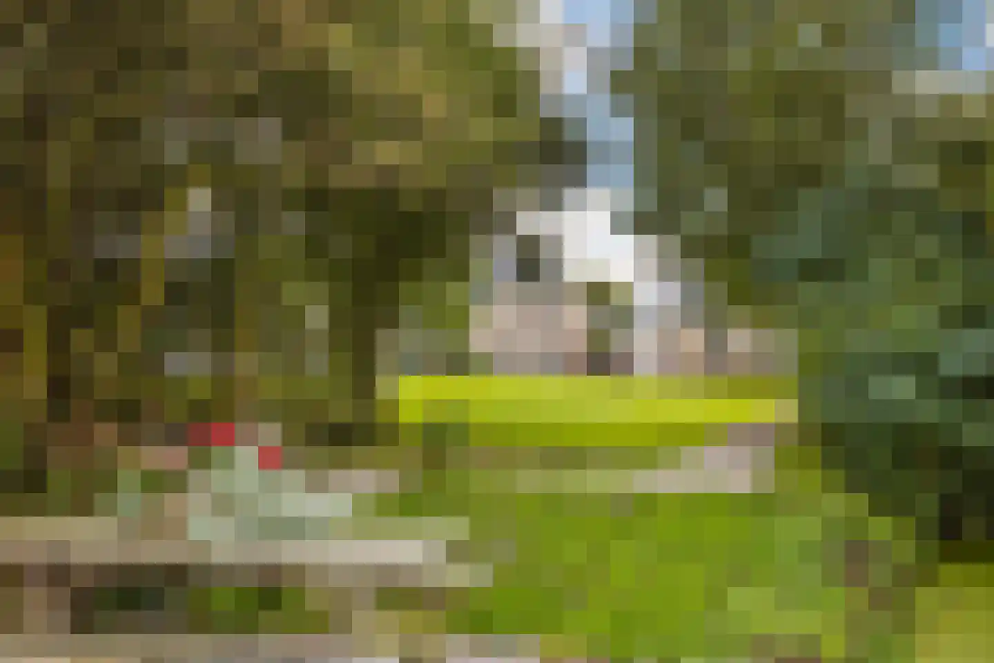 Hoptille 4 a Hilaard thumbnail 73