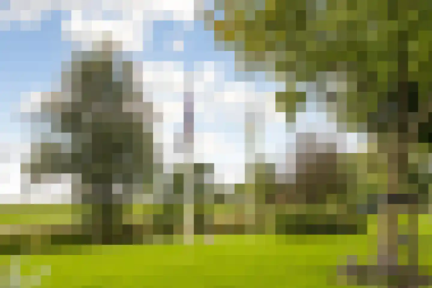 Hoptille 4 a Hilaard thumbnail 76