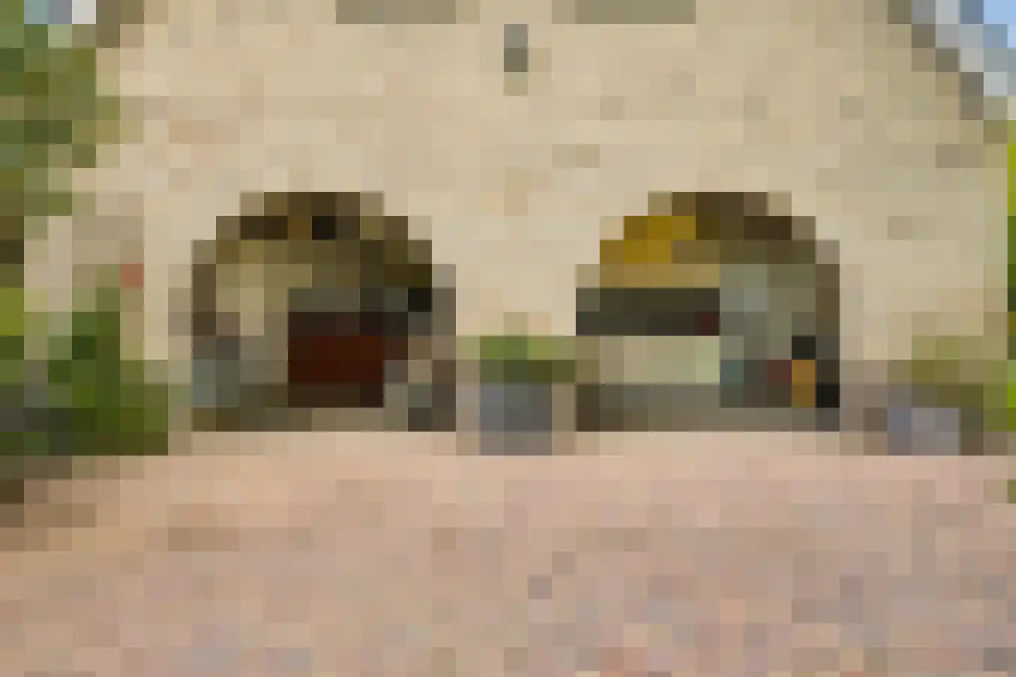 Hoptille 4 a Hilaard thumbnail 79